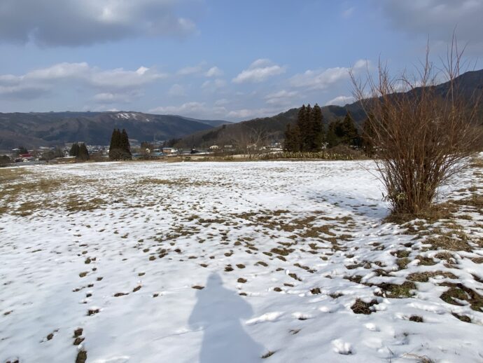 デンデラ野