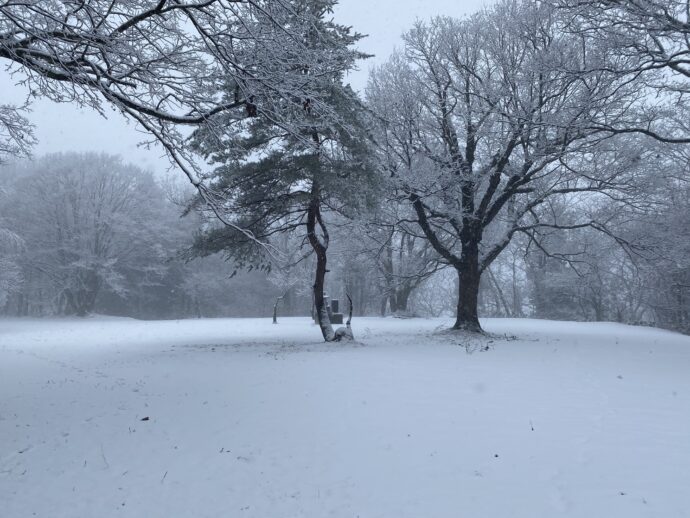 大雪の角館城跡