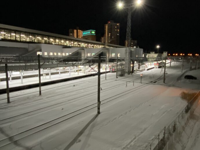 雪の盛岡駅