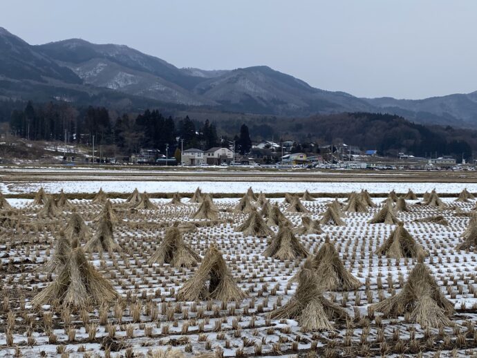 田んぼ