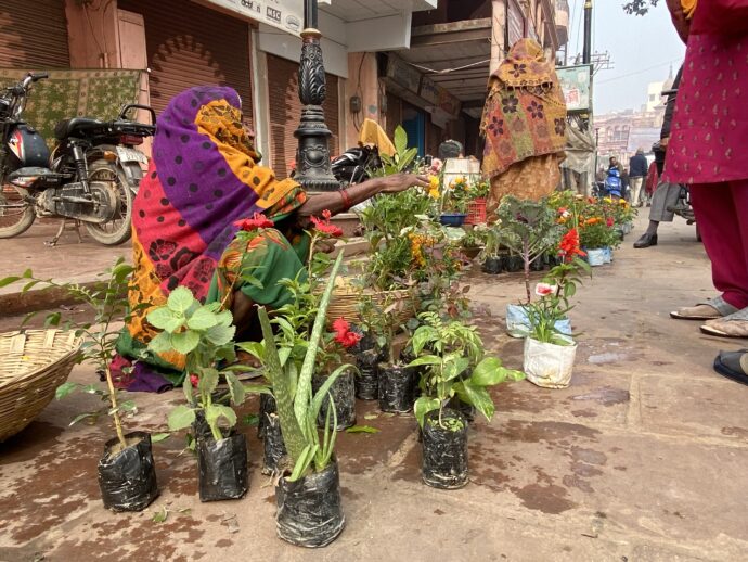 植物の苗を販売する女性