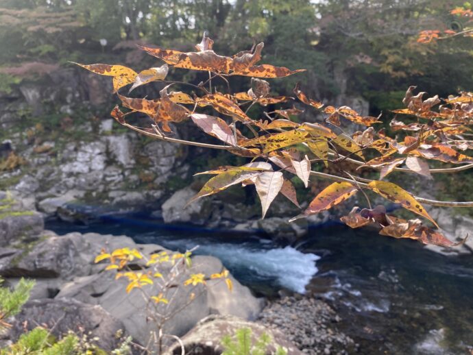 紅葉の厳美渓