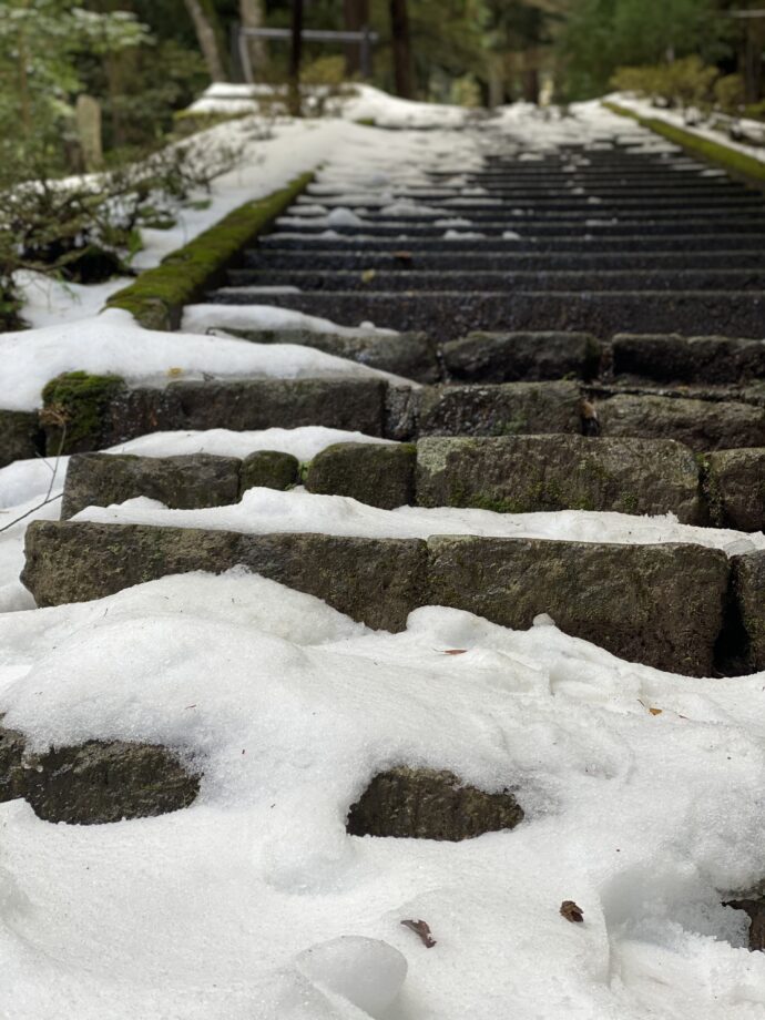 雪の積もる参道