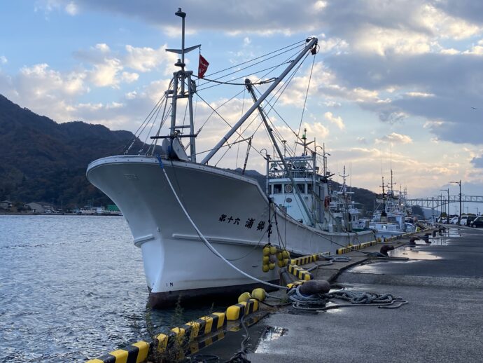 イカ釣り船