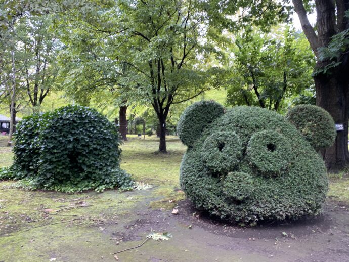 弘前公園のパンダに刈り込まれた植木