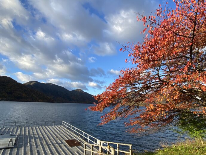 中禅寺湖の紅葉