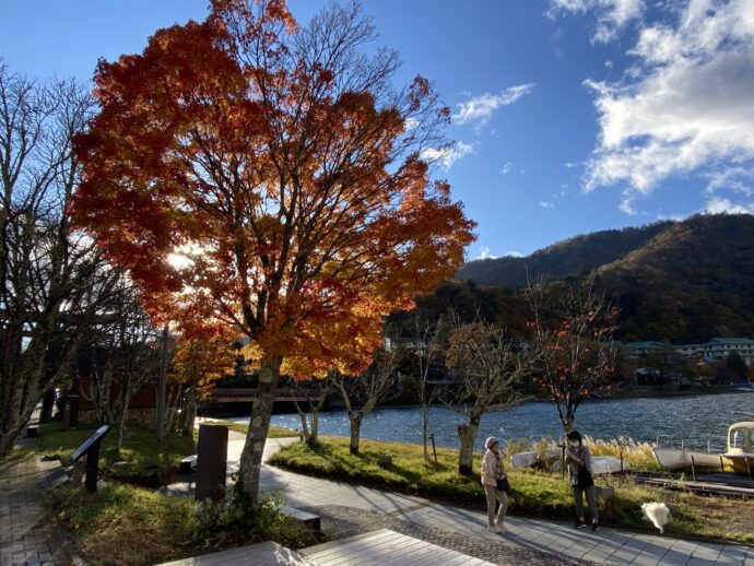 紅葉の中禅寺湖