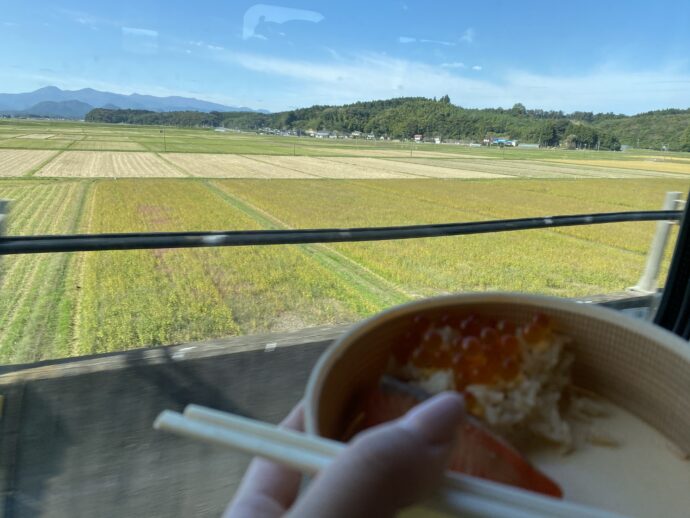 鮭はらこめしと田んぼ