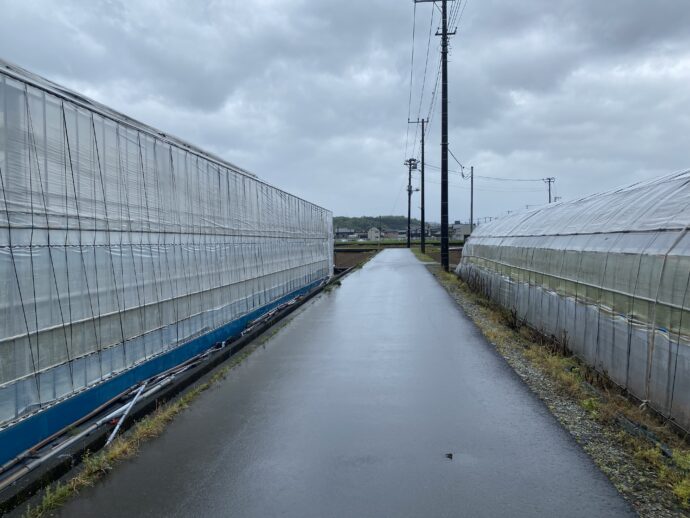 韮山の道路