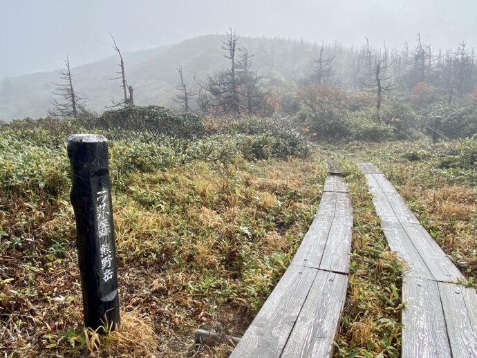 蔵王山の木道