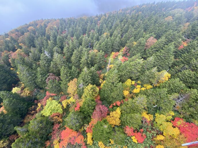 蔵王ロープウェーから見た紅葉