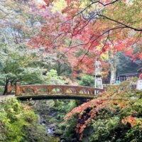 鰐淵寺の紅葉