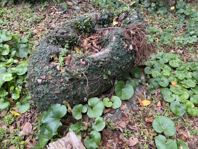 風化した手水桶