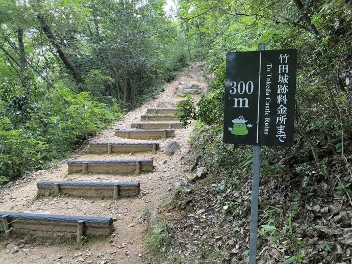 裏山登山道