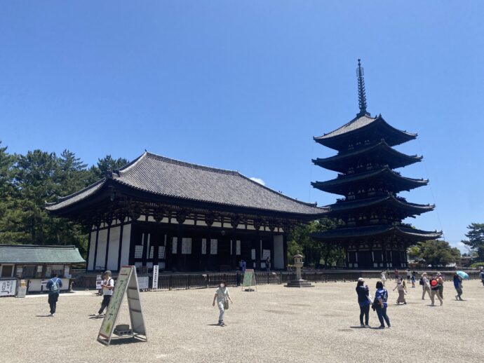 興福寺の東金堂と五重塔