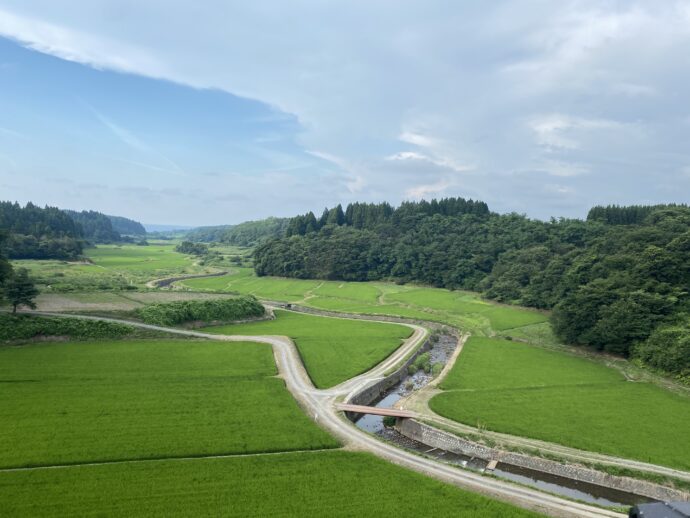 秋田の田んぼ