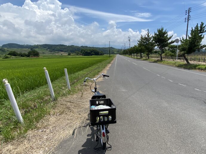 田んぼの緩い坂