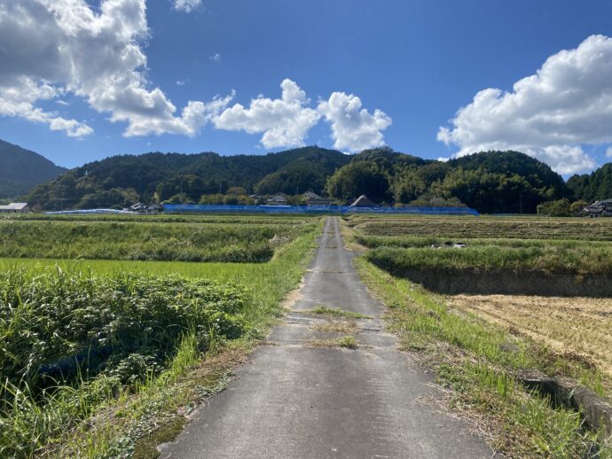 田んぼの中の道