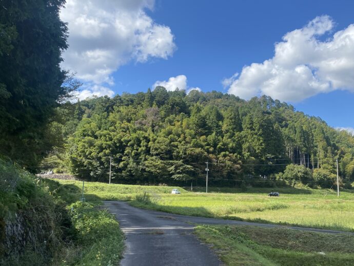 田んぼ沿いの道