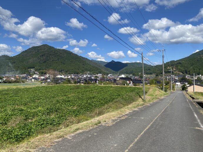 田んぼ沿いの道