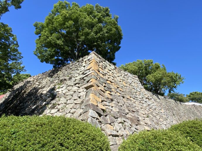 岡山城の石垣