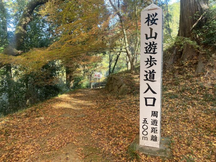 桜山遊歩道入口