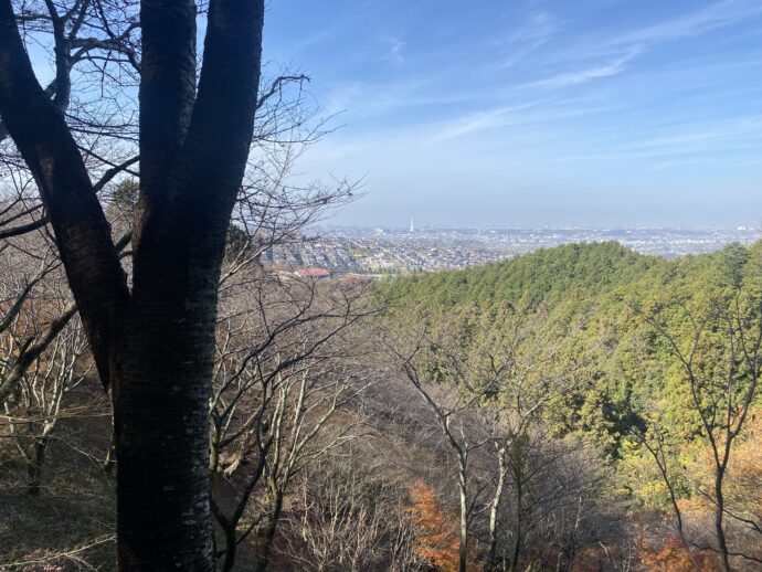 西行桜山からの眺め