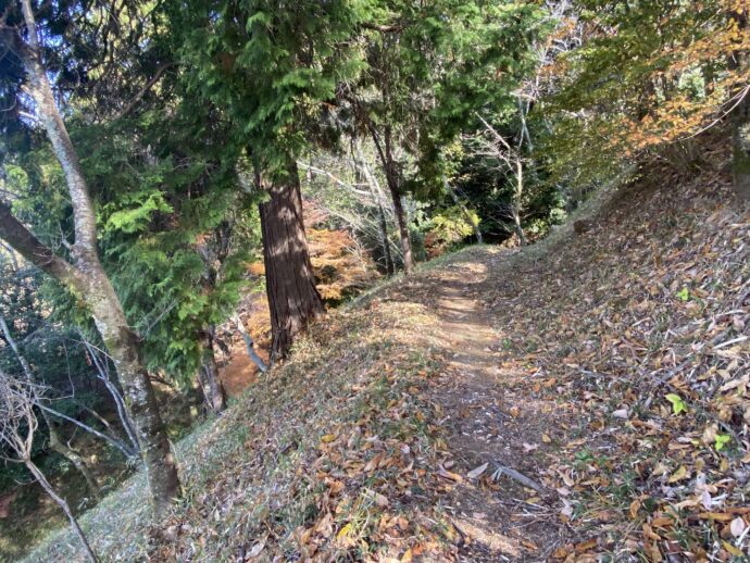 西行庵趾からの下山道