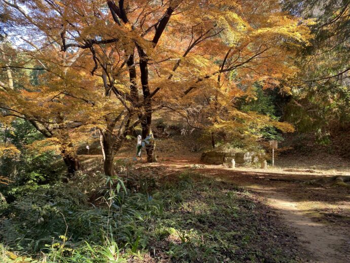 紅葉の弘川寺