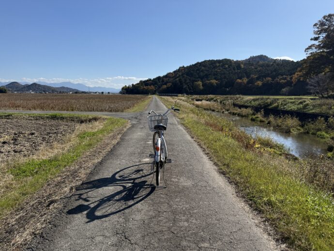 レンタサイクルで田んぼ道を走る