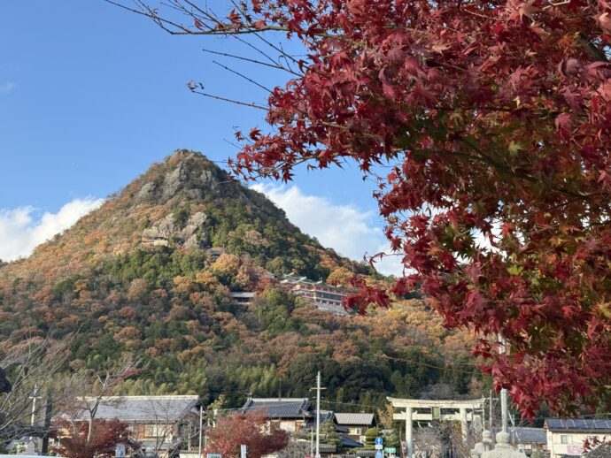 太郎坊宮と紅葉