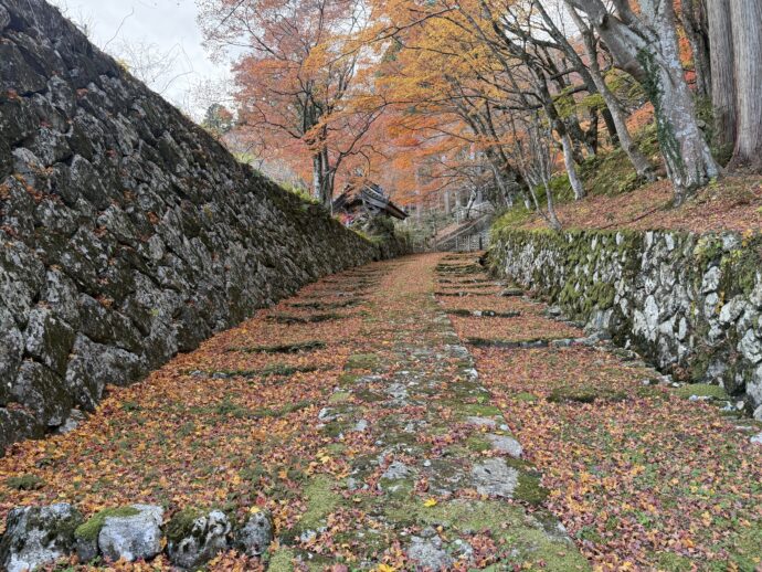 百済寺の紅葉