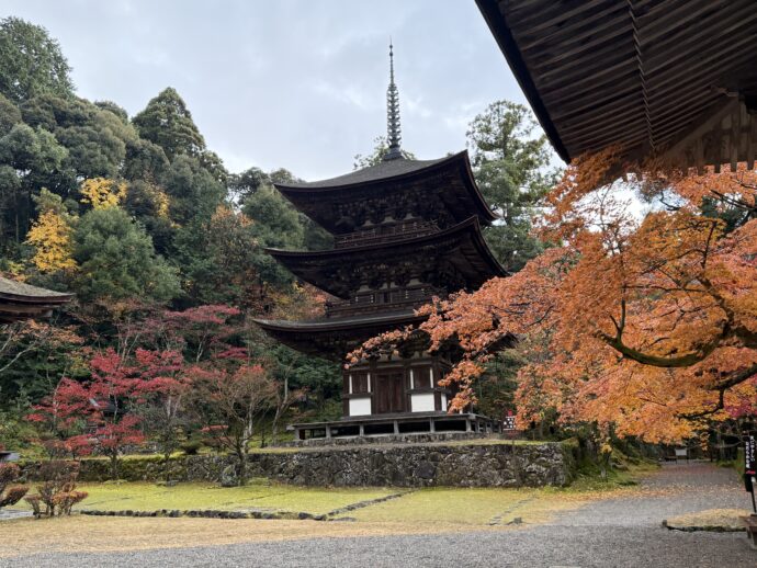 西明寺の三重塔