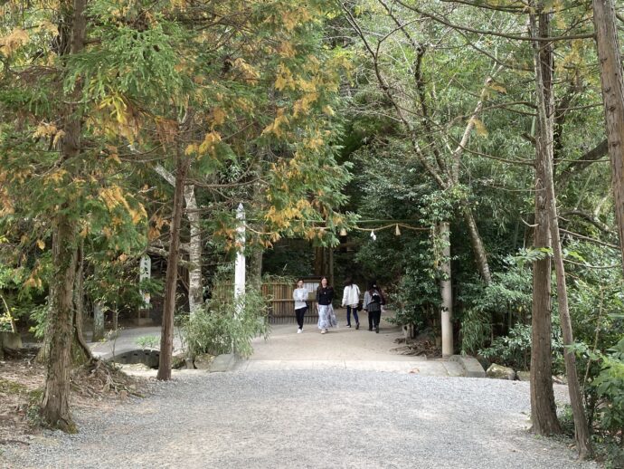 神秘の森への道