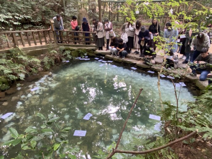 八重垣神社鏡の池