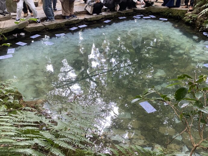 八重垣神社鏡の池