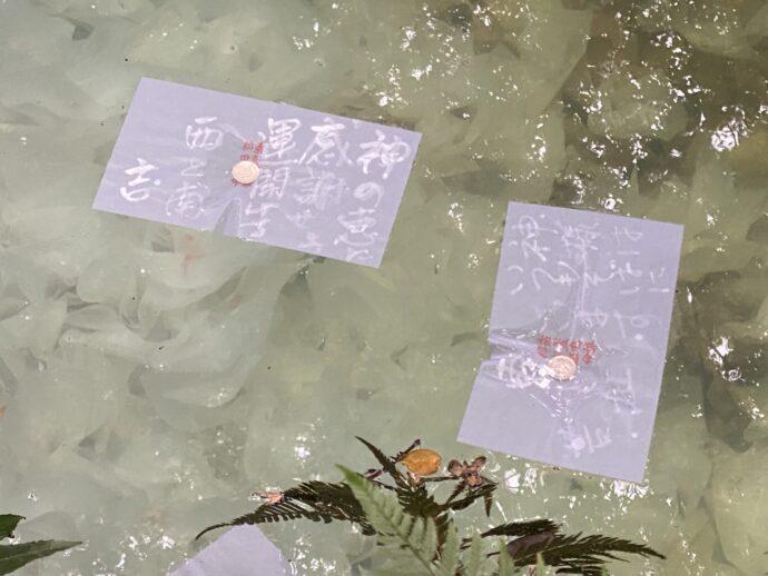 八重垣神社鏡の池に浮かぶ占い紙