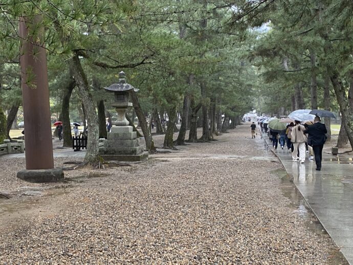 松の参道