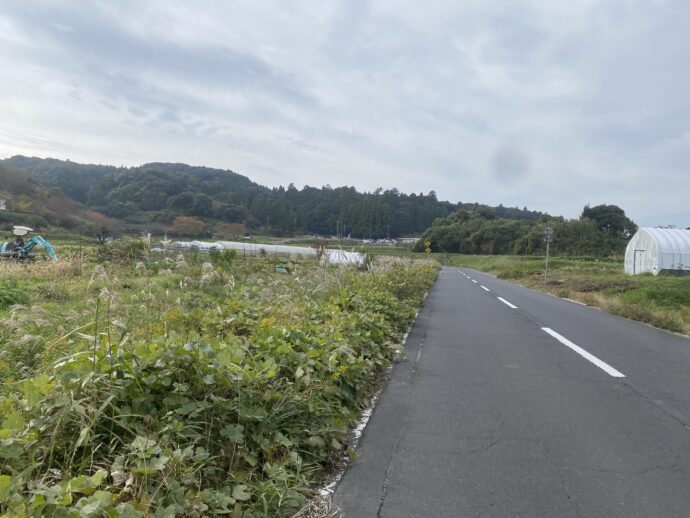 意宇平野の道路