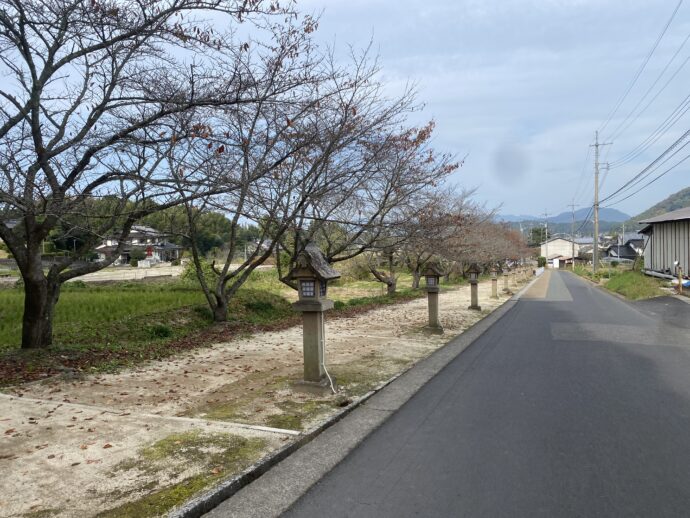 意宇平野の道路