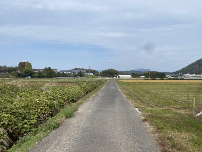 意宇平野の道路