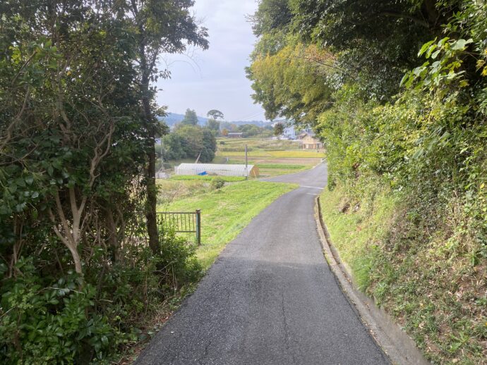 意宇平野の道路