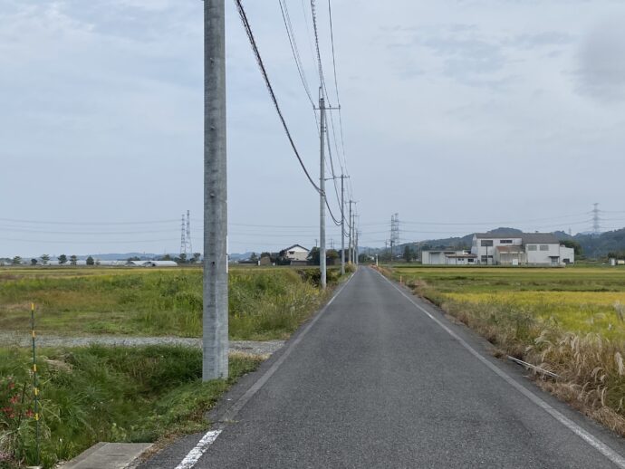 意宇平野の道路
