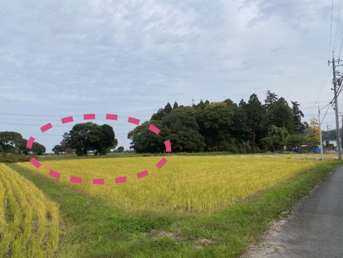 遠くにみえる石