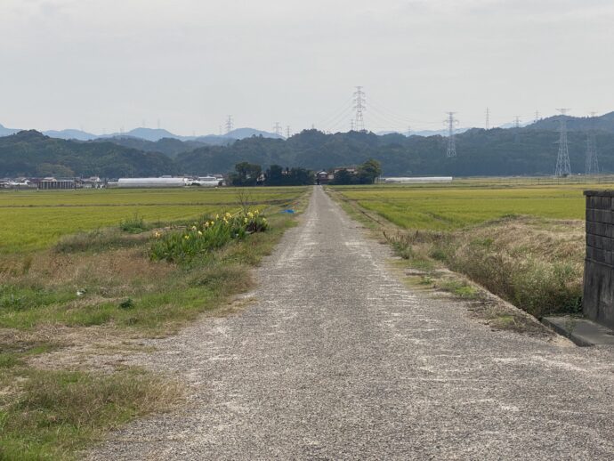 天平古道