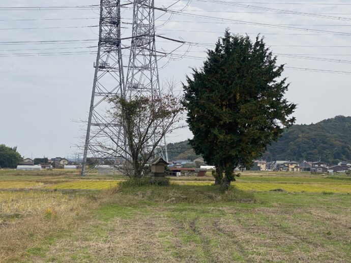 意宇の杜 比定地