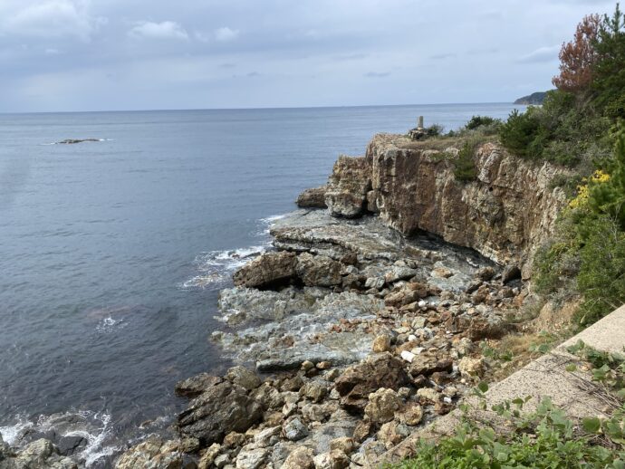 大社湾岸