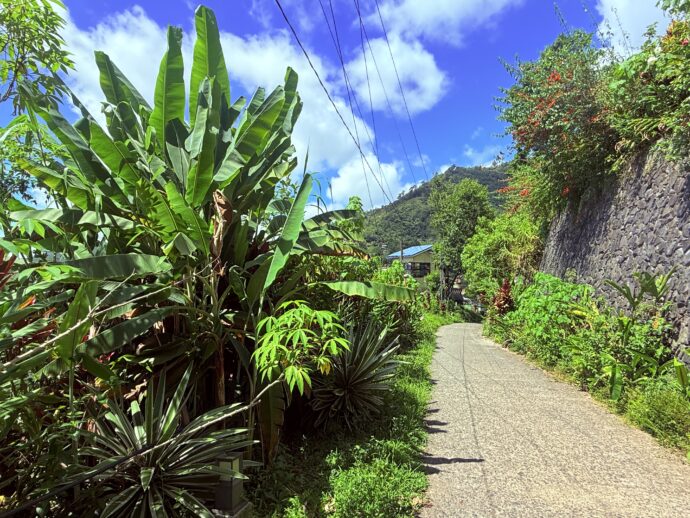 ヘリテージホテルの道