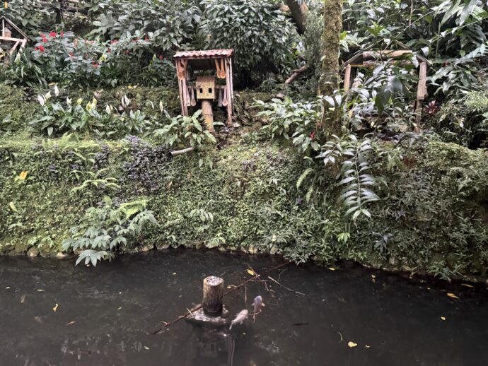 池とアート