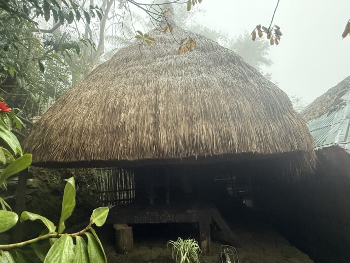 藁葺きの屋根